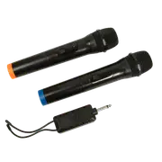 2 x Wireless Microphone Handheld Cordless Professional Mic Karaoke Receiver
