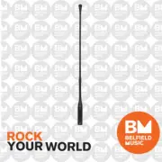 AKG CGN-99C/L Gooseneck Microphone 50cm Cardioid Long Mic XLR CGN99C/L - BNIB -B
