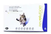 Revolution Flea & Worm Control for Cats & Kittens - 6 pack