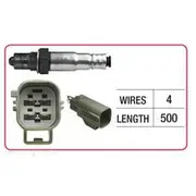 RAE Oxygen Sensor - OX644