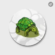 Big Turtle Animal | 4'' X 4'' Round Decorative Magnet