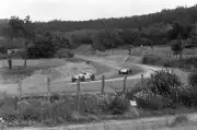 Olivier Gendebien Cooper T51 Climax leads Lucien Bianchi Cooper - 1960 Photo
