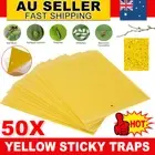 50x Yellow Sticky Traps Fruit Fly Trap Sticky Trap 20x30cm Flies Trap Insect