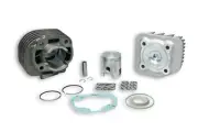 MALOSSI CAST-IRON CYLINDER KIT DIAM.40 PIN DIAM.10 FOR 491 GT 50 2T (MINARELLI)