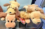 BEANIE BABIES BUNDLE, BONES & SPUNKY WITH TEENIE BEANIES, NEW, WITH TAGS