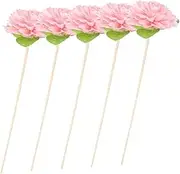 5pcs Replaceable Diffuser Reeds Aroma Diffuser Sticks Flower Diffuser Sticks Rattan Diffuser Room Aroma Sticks Replaceable Aroma Sticks Aroma Diffuse Sticks Diffuser Tools