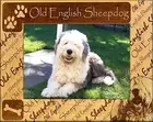 Old English Sheepdog Laser Engraved Wood Picture Frame (5 x 7)