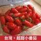 【仙菓園】台灣 溫室玉女小番茄 (約600g/盒)(2盒入) 1200g±10%