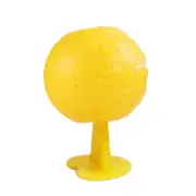 Fruit Fly Trap Killer Fruit Fly Catcher Reusable Drosophila Trap for Home Farm