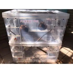 ▪️家樂鼠工作室▪️寵物整理箱改造▪️K036雙層睡鼠箱▪️睡鼠▪️蜜袋鼯