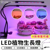 在飛比找momo購物網優惠-【STAR CANDY】LED植物生長燈 四管 免運費(生長