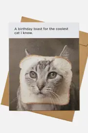 [Typo] Typo - Funny Birthday Card - Coolest cat birthday toast meme SOLID COOLEST CAT BIRTHDAY TOAST MEME