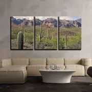 Wall26 - Saguaros in Sonoran Desert - Canvas Art Wall Decor - 24"x36"x 3 Panels