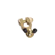 Projecta Brass Battery Terminal with Wingnut Negative