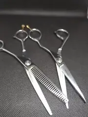 Haircut scissors professional