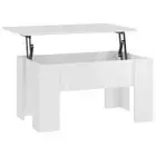 Lift-Top Wooden Coffee Table High Gloss White Storage Side Sofa Lounge Desk