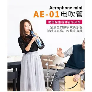 AE-01C電吹管樂器ae01電薩克斯ae01c管樂器初學電笛子