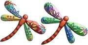 CIMAXIC Set of 2 Dragonfly Ornaments Iron Craftwork for Home Decor Wall Hanging