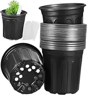 Mipcase 50 Pcs Flowerpot Seed Pots Nursery Plant Pots Flower Pot Supplies Indoor Plant Pots Nursery Pots for Plants Pots for Indoor Plants Planting Pots Indoor Potting Pots Black Plastic