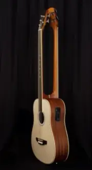 Busuyi Double Neck Acoustic Bass 5-String Fretless 4-String Fanned Fret
