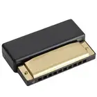 10 Hole Blues Harmonica C Key Student Children Early Education Puzzle1718
