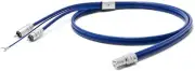 OYAIDE 5pinDIN-RCA Phono Cable OYAIDE PA-2075 DR V2