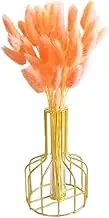 Rabbit Tail Dried Flowers Dried Bunny Tail Flower Natural Rabbit Tail Dried Flower Bouquet Pampas Grass Decor for Home Decor 50PCS 50 cm Orange