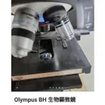 OLYMPUS BH 生物顯微鏡