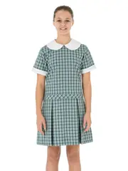 Teal Check Dress