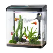 Fish Tank with Filter and LED Lights, 3 Gallon Glass Aquarium, Table Home Decor