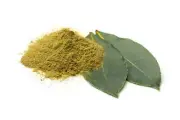 400g Bay Leaf Powder - FINELY GROUND PREMIUM QUALITY SUPERFOOD - FREE POST