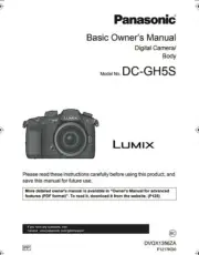 Panasonic Lumix DC-GH5S Digital Camera BASIC OWNER'S MANUAL (132 page)