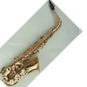 Funion Eb Alto Saxophone Kit High F# Red Brass Body Case Mouthpiece kit