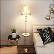 Indoor Floor Lamps Metal Floor Lamp with Table Contemporary, Modern Tall Stand Up Light for Bedrooms, Living Room, Office, Reading Standing Lamp