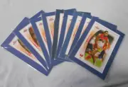 #D304. NINE(9) 7" by 5" SYDNEY SWANS AFL MATTED PLAYER PICTURES READY TO FRAME