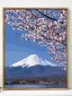 富士山數字油畫DIY手繪裝飾畫風景畫填充塗色畫治癒放鬆 (3折)