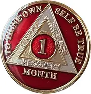 1 Month AA Medallion Metallic Mandarin Red 30 Day Tri-Plate Sobriety Chip Serenity Prayer Back