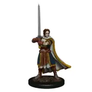 Dungeons & Dragons - Premium Human Fighter Male Miniature - WizKids Games