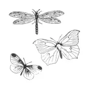 Sizzix Framelits Die Set 3PK w/3PK Stamps Engraved Wings???by 49 and Market