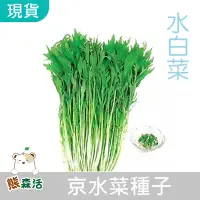 在飛比找Yahoo!奇摩拍賣優惠-～全館滿790免運～ 水白菜二號(京水菜 銀絲菜)種子-HV