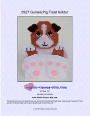 Guinea Pig Treat Holder- Plastic Canvas Pattern or Kit