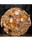 Petrified Sone Table Top, Round Coffee Side Table Top, Modern Furniture Decor