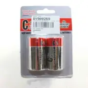 Rheem BV900269 C Alkaline Batteries - 2 Pack