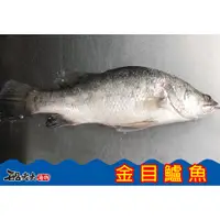 在飛比找蝦皮購物優惠-【金目鱸魚】{船老大海物}台南 西濱 將軍漁港 海釣 冷凍生