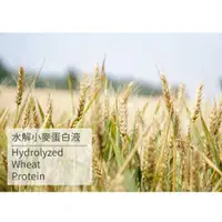 在飛比找蝦皮購物優惠-『現貨』 水解小麥蛋白液 Hydrolyzed Wheat 