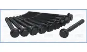 Cylinder Head Bolt Set FIAT PALIO (Brasil) 1.0 55 178D9.011 (2000-)