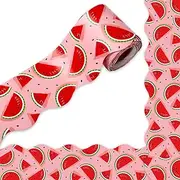FYSUIMU 32.8Ft Watermelon Bulletin Board Border Pink Red Green Watermelon Die Cut Trim Border Roll for Summer Chalkboard Wall Decor