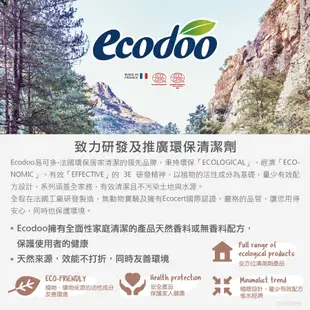 Ecodoo易可多 環保低泡沫洗衣精-馬賽皂2L