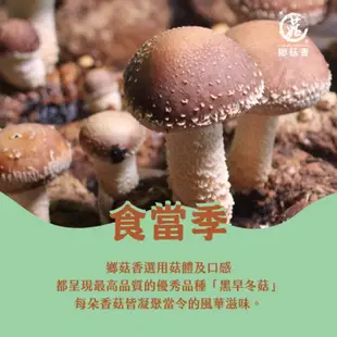 鄉菇香 親好屋 有機香菇 厚實大菇80克/160克 黑早冬菇 台中新社 呂健旭 頂級肥厚 真空包裝 送禮 禮盒 台灣