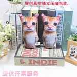 跨境新品EL GATO CAT PLUSH 可愛仿真貓咪毛絨玩偶公仔貓咪裝飾擺